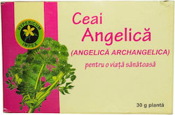 Hypericum impex Ceai 12 Pungi 30gr 1buc Hypericum impex Ceai 12 Pungi 30gr 1buc