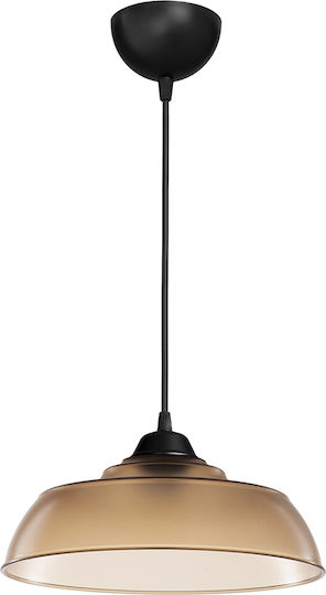 Heronia Public 1/l Pendant Light Honey 26x26cm