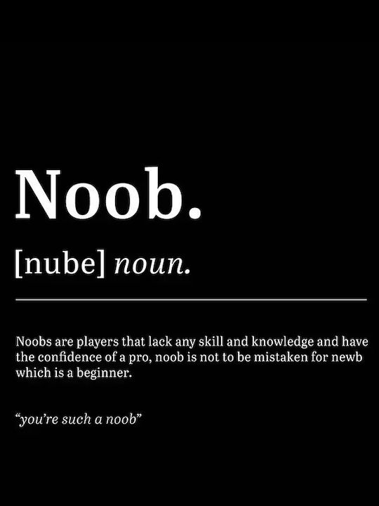 Poster De Gaming Noob Gm153 21cm X 30cm Cadru D...