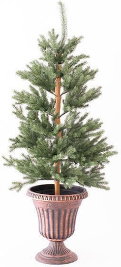 Topfpflanze Kyparissi 120cm