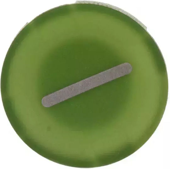 Button Ein-Aus-Schalter 22mm Flach Grün Startsymbol I M22-xd-g-x1 218165