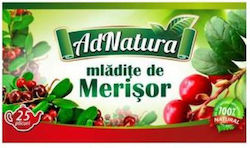 Adnatura Tee 20 Beutel 1.5gr 1Stück