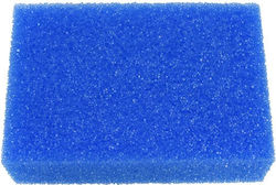 Hard Bath Sponge