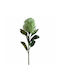 Koart Dianthus Πράσινο Τεχνητό Λουλούδι 62 Cm