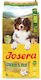 3kg Dry Food Gluten-Free for Adult Dogs with Chicken and Rice