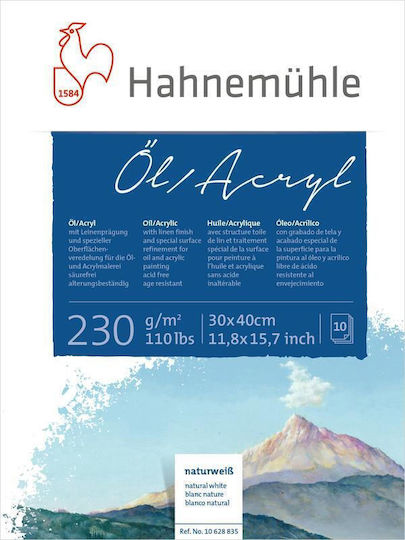 Hahnemuhle Oil Acrylic Sketch Pad 10 Sheets 30x40cm 230gsm
