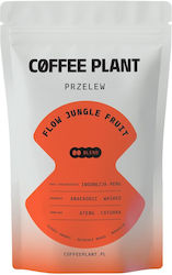 Coffee Plant Tea 100gr