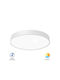 Braytron Blade Ceiling Mount Light 50cm White