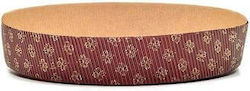 Starfoods Disposable Box 22x4cm 5pcs