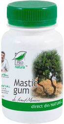 Supliment Alimentar cu Gumă de Mastic Pro Natura 60 Capsule