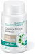 Suplimente Alimentare Extract de Gheara-matei Cat's Claw 350 Mg Rotta Natura 30 Capsule