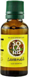 Solaris Plant Αμυγδαλέλαιο 30ml Solaris Plant Αμυγδαλέλαιο 30ml