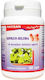 Ginkgo Biloba 40 Capsule