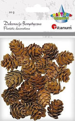 Titanum Kiefernzapfen Mischung Größen Braune 20g