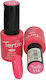 Tertio Semi-Permanent Nail Polish 116 10ml 1pcs
