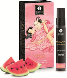Shunga Λιπαντικό 20ml