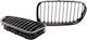 Mtuning Bm100540cbs Sport Performance Grille Carbon Look BMW F10 F11 Yr 10-18