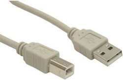 Gembird USB-B Kabel 3 Meter Beige USB 2.0