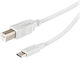 Vivanco Typ C USB-zu-USB-B Druckerkabel 1,8 m Weiß
