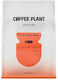 Coffee Plant Cold Brew Kaffee Bohnen 250gr