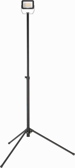 Dedra LED IP65 with Brightness up to 2200lm