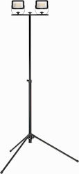 Dedra LED IP65