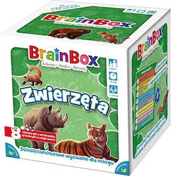Brainbox Animals Brainbox Animals