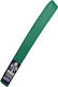 Rage Martial Arts Belt Green