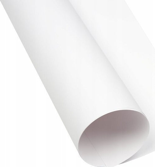 Oxford Cardboard Oxford A3 160g White 25 White