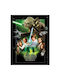 Star Wars Heroes Wooden Framed 30x40cm Print Fp14485p