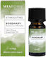 Miaroma Rosemary Ätherisches Öl Rosemary 10ml