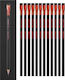 Set 12 Soft Pencils Blackwing X Moleskine