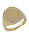 Damen Chevalier Ring mit Zirkonia aus Gold 9K