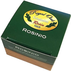 Gewa Royal Oak Violine Rosinen