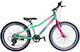 Energy Fun 24 Zoll Kinderfahrrad Mountainbike Grün