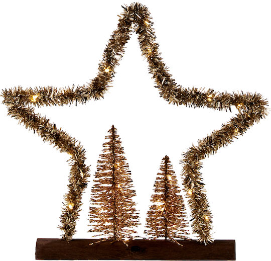 TnS Desktop Gold Star