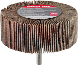 Proline Cilindru de șlefuire 30mmx80mm