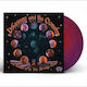 Shannon & Clams Moon Is In Wrong Place 1 Vinyl