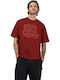 T-shirt Καφέ