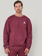 Burgundy Sweatshirt