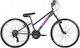 Alpina 24" Παιδικό Mountain Bike Γκρι