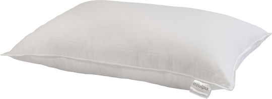 Mattex Premium 100% Wgd Πουπουλένιο 50x70cm
