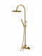 Armando Vicario Shower Column with Mixer Gold