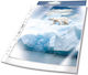 Durable Binder Pockets Top Loading 80 Mic 2683 Premium Quality Pack 100 Pieces