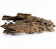 Oasis Dragon Wood Per Piece