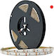 Geyer Waterproof LED Strip 14.4w 12V Red Light 5m