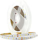 Geyer LED Лента 24V Топло бяло Светлина 5м