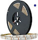 Geyer Waterproof LED Strip 14.4w 12V Blue Light 5m