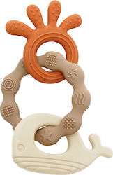 Amek Toys Μασητικό Οδοντοφυΐας 3τμχ