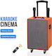 Karaoke Speaker with Wireless Microphones DR-19 DR-19 Brown